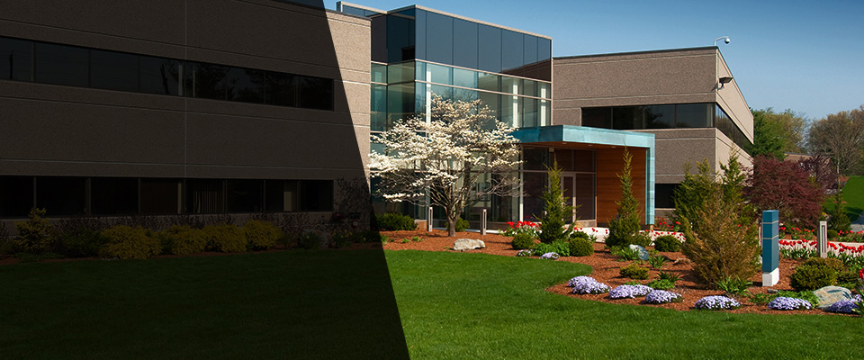 Ludlow Landscapers