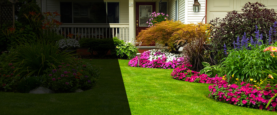 Ludlow Landscapers