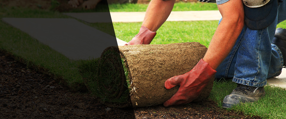 Ludlow Landscapers